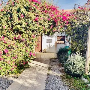 Lavender Almeria Homestay